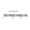 12V Valge LED riba 120LED/m